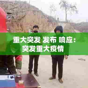 重大突发 发布 响应：突发重大疫情 