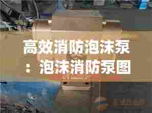 高效消防泡沫泵:泡沫消防泵图片