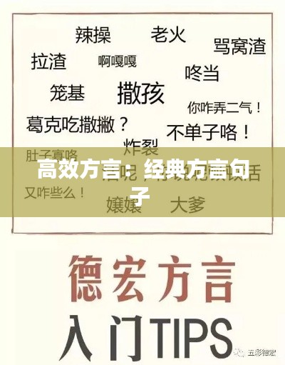 高效方言：经典方言句子 