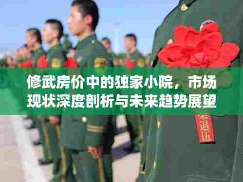 修武房价中的独家小院,市场现状深度剖析与未来趋势展望