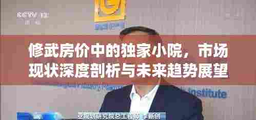 修武房价中的独家小院,市场现状深度剖析与未来趋势展望
