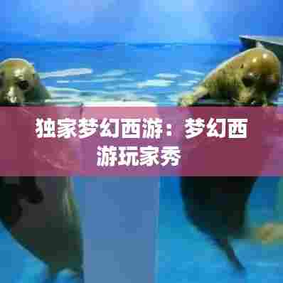 独家梦幻西游:梦幻西游玩家秀