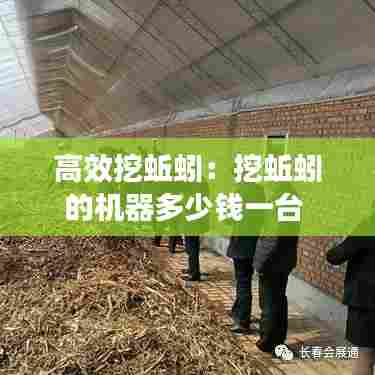 高效挖蚯蚓：挖蚯蚓的机器多少钱一台 