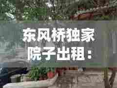 东风桥独家院子出租:东风东路754号大院出租
