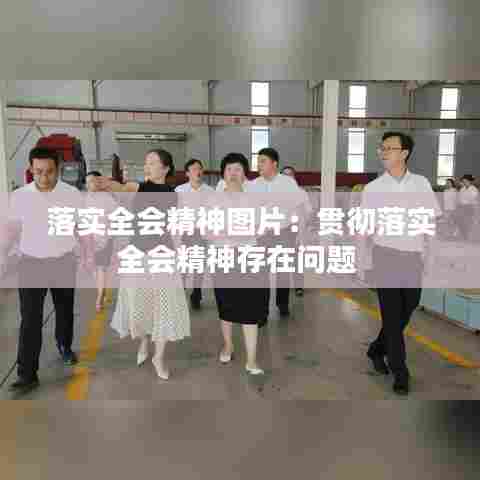 落实全会精神图片：贯彻落实全会精神存在问题 