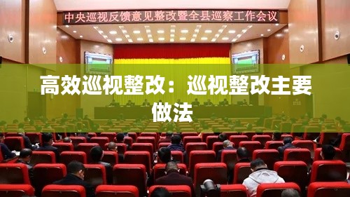 高效巡视整改：巡视整改主要做法 