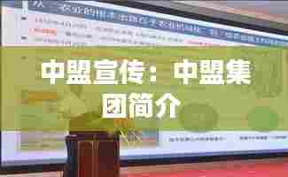 中盟宣传:中盟集团简介