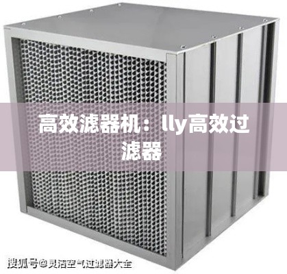 高效滤器机：lly高效过滤器 