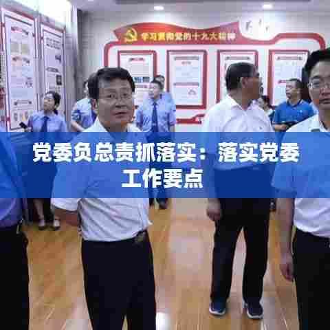 党委负总责抓落实：落实党委工作要点 