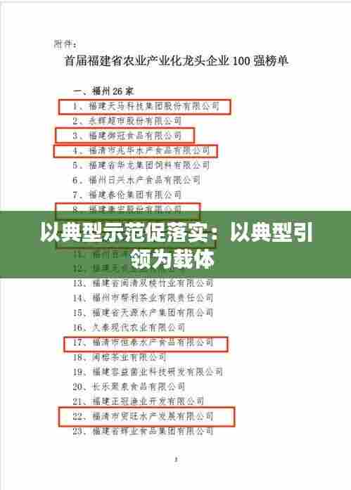 以典型示范促落实：以典型引领为载体 