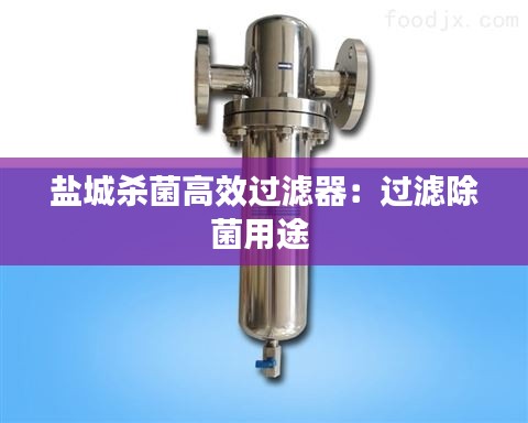 盐城杀菌高效过滤器：过滤除菌用途 