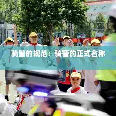 笔走如飞 第6页