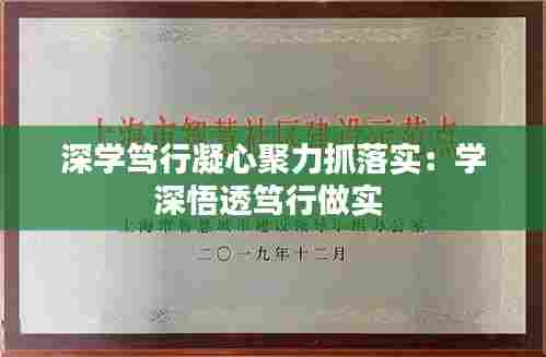 深学笃行凝心聚力抓落实:学深悟透笃行做实