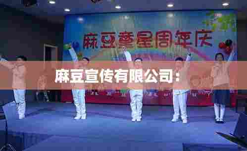 麻豆宣传有限公司: