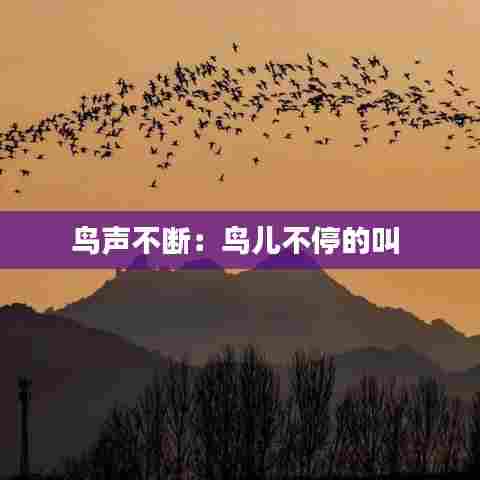 鸟声不断：鸟儿不停的叫 