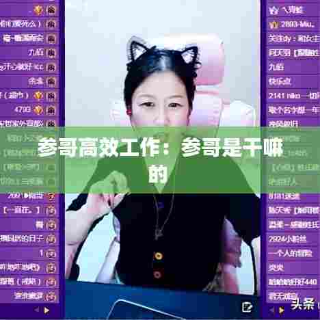 参哥高效工作：参哥是干嘛的 
