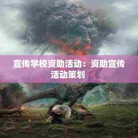 宣传学校资助活动：资助宣传活动策划 