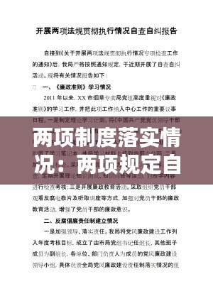 两项制度落实情况:两项规定自查报告