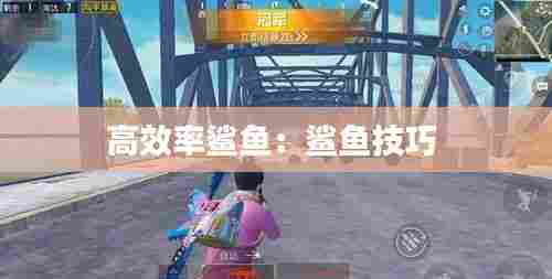 高效率鲨鱼：鲨鱼技巧 