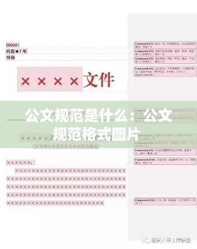 公文规范是什么：公文规范格式图片 