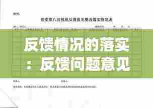 反馈情况的落实:反馈问题意见整改落实方案