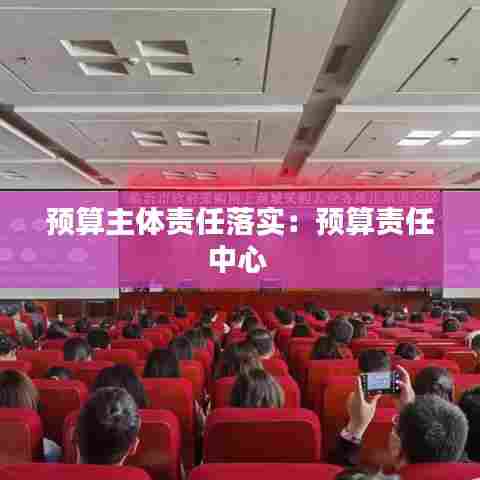 预算主体责任落实：预算责任中心 