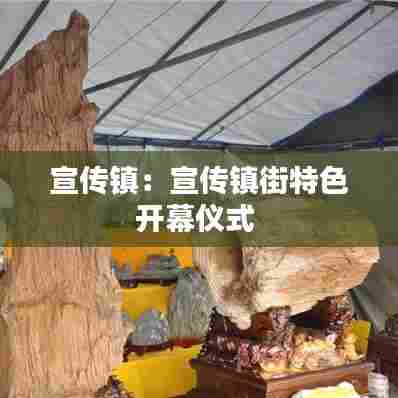 宣传镇:宣传镇街特色开幕仪式