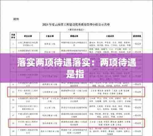 落实两项待遇落实：两项待遇是指 