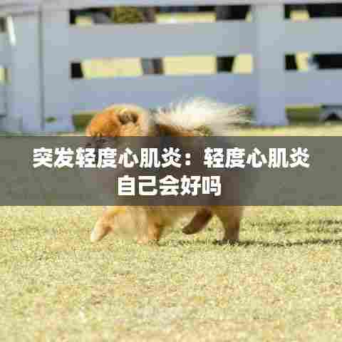 突发轻度心肌炎:轻度心肌炎自己会好吗