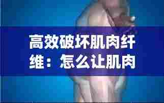 高效破坏肌肉纤维：怎么让肌肉纤维断裂 