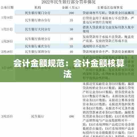 会计金额规范：会计金额核算法 