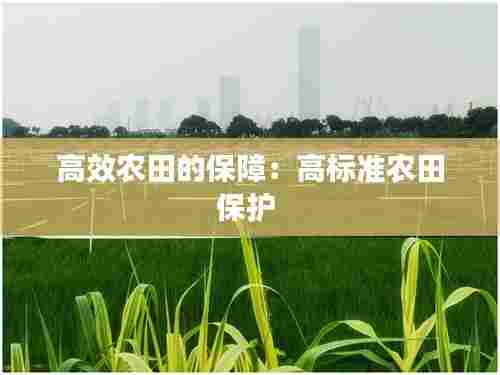高效农田的保障:高标准农田保护