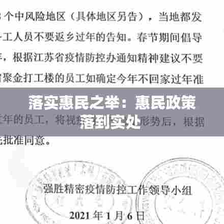 落实惠民之举:惠民政策落到实处