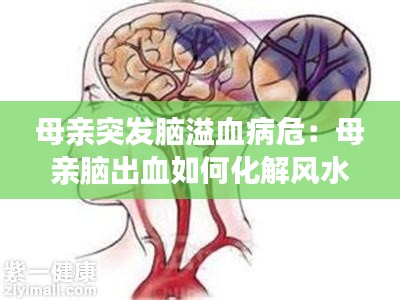 母亲突发脑溢血病危:母亲脑出血如何化解风水问题