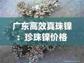 广东高效真珠镍:珍珠镍价格