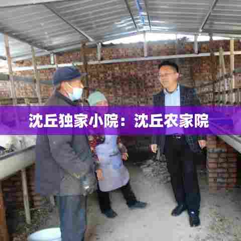 沈丘独家小院：沈丘农家院 