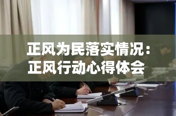 正风为民落实情况:正风行动心得体会