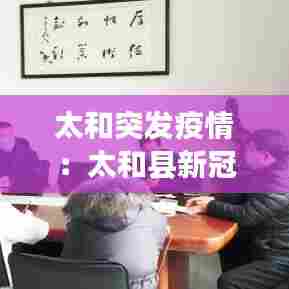 太和突发疫情:太和县新冠肺炎情况