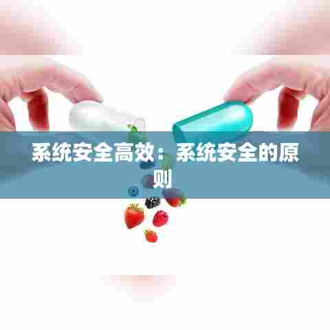 系统安全高效:系统安全的原则
