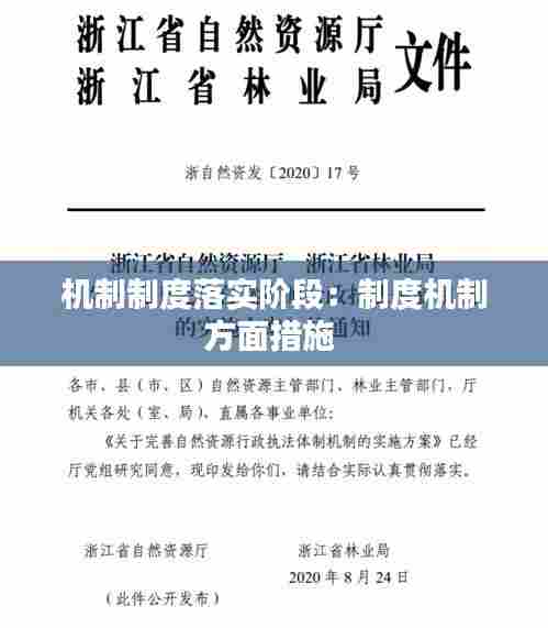 机制制度落实阶段:制度机制方面措施