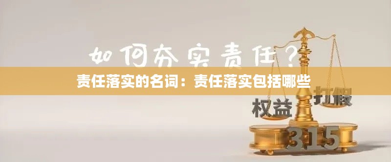 责任落实的名词：责任落实包括哪些 