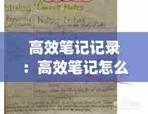 高效笔记记录:高效笔记怎么做