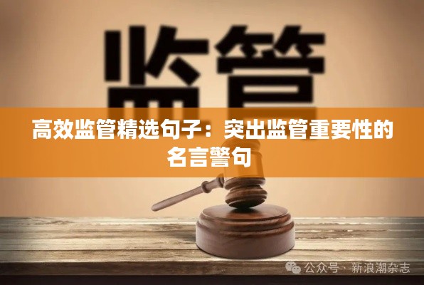 高效监管精选句子：突出监管重要性的名言警句 