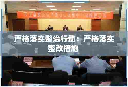 严格落实整治行动：严格落实整改措施 