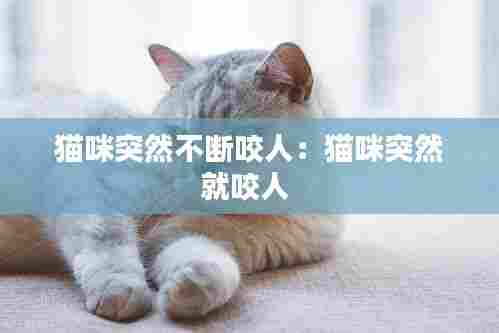 猫咪突然不断咬人:猫咪突然就咬人