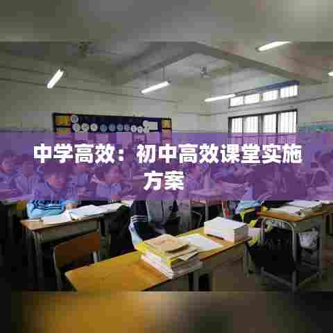 中学高效：初中高效课堂实施方案 