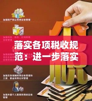 落实各项税收规范：进一步落实税收征管 