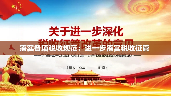 落实各项税收规范:进一步落实税收征管