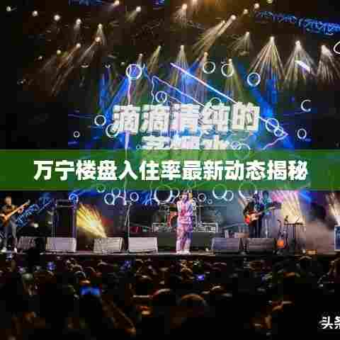 万宁楼盘入住率最新动态揭秘