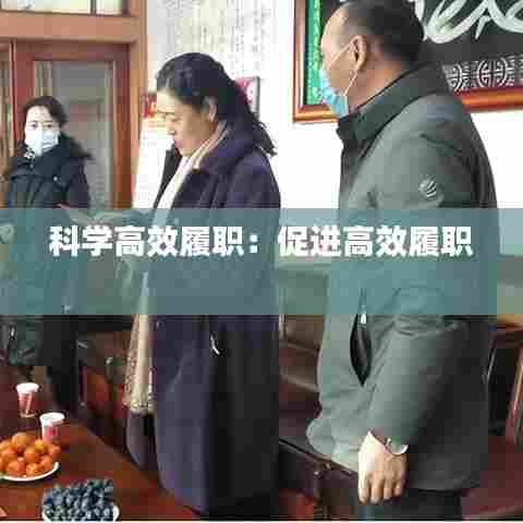 科学高效履职：促进高效履职 